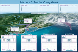 Mecury in Marine Ecosystems Poster thumbnail